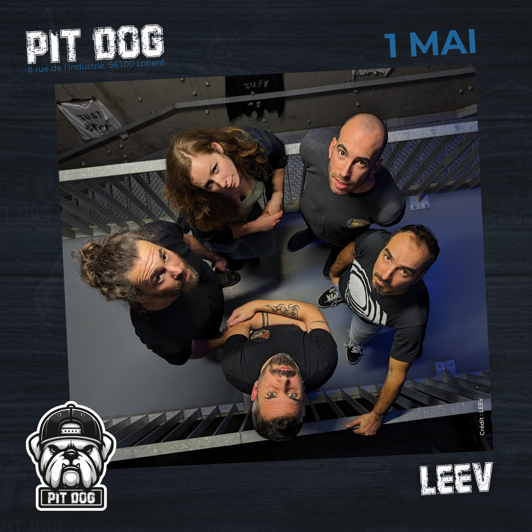 VI - LEEV