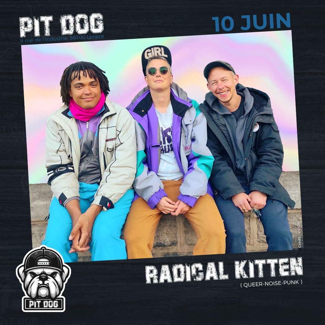 VI - RADICAL KITTEN