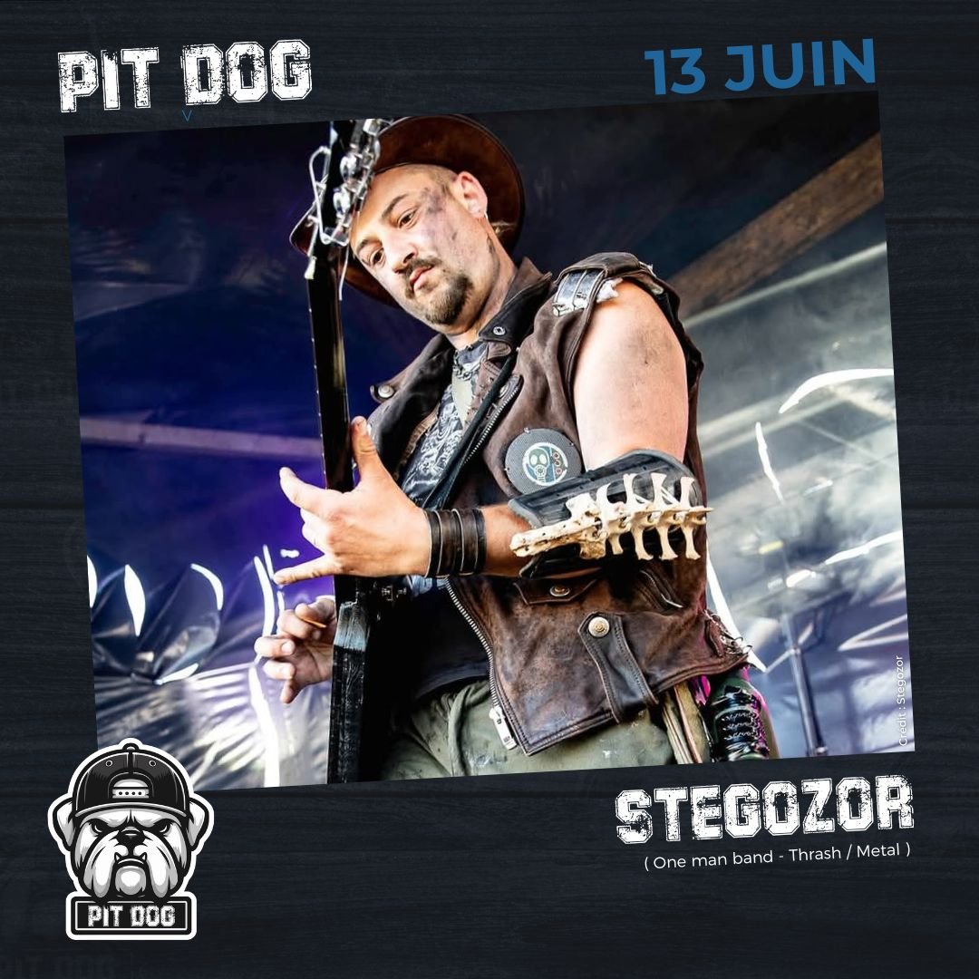 VI - Stegozor